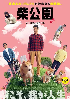 99久久精品免费视频