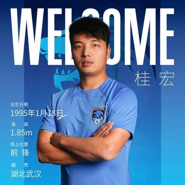 ckplayer国产