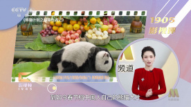 国产美女福利在线